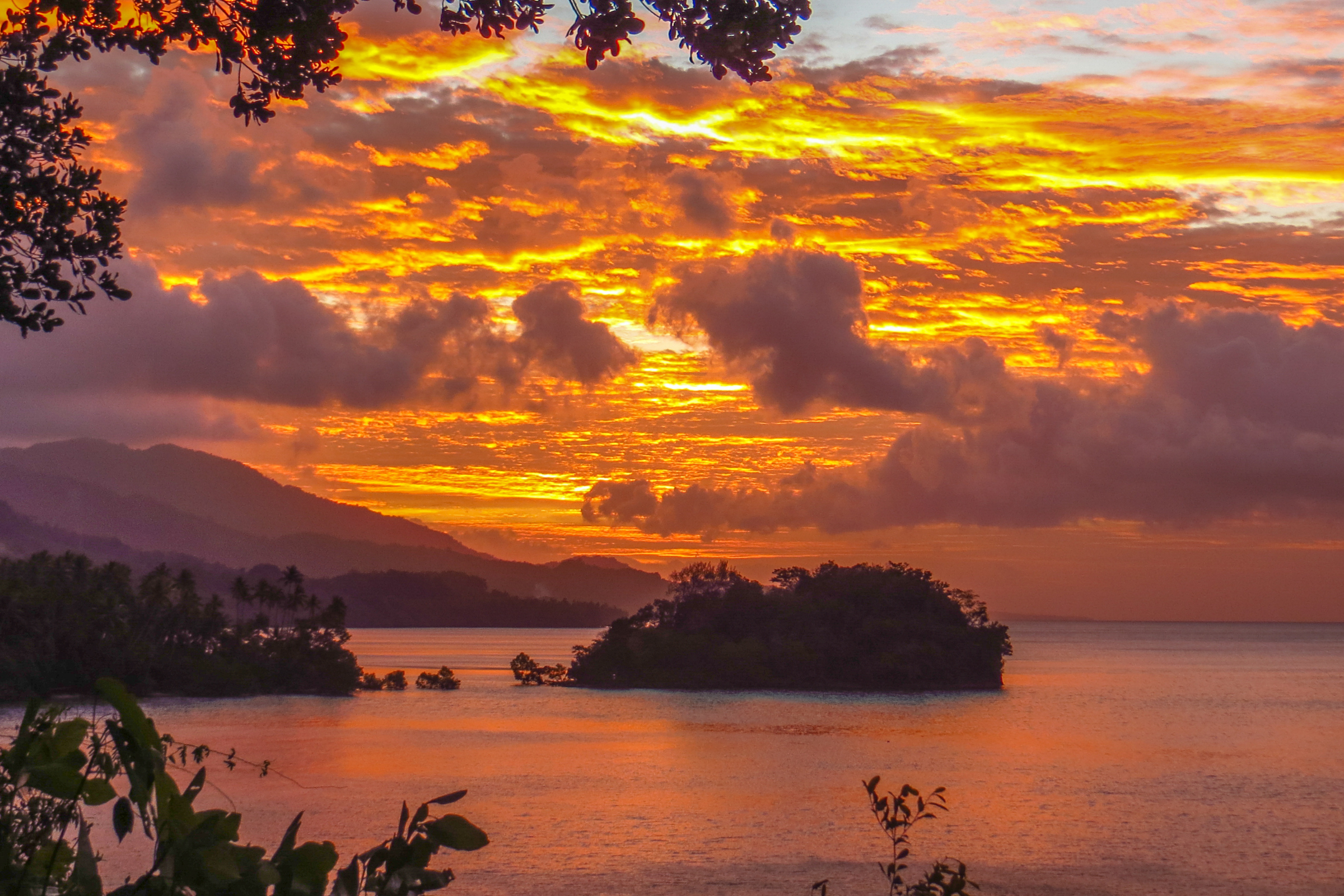 67 doini island.webp